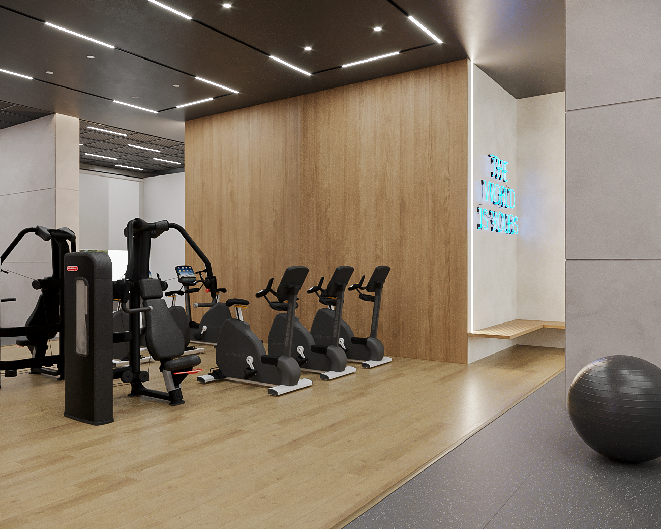 Gym View